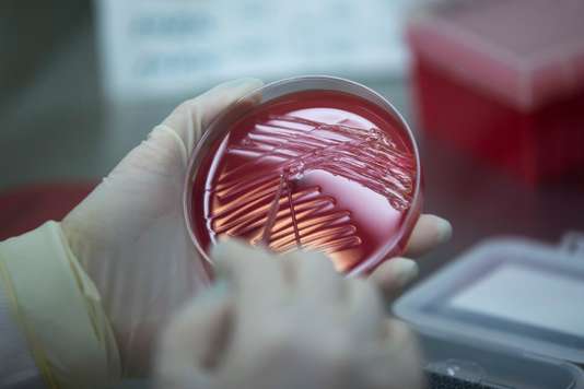 L&rsquo;OMS tire une sonnette d&rsquo;alarme sur le grave manque de nouveaux antibiotiques dans le monde!