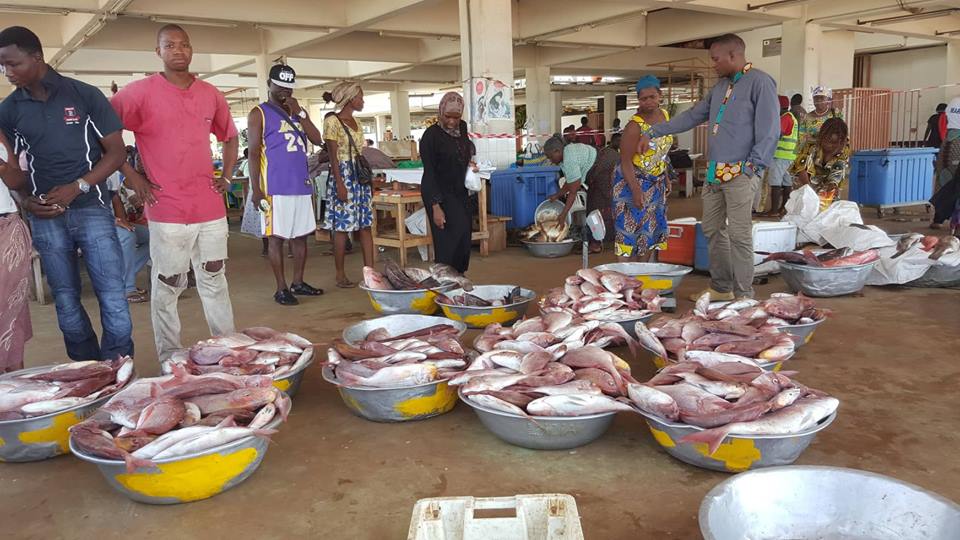 L’UE négocie à nouveau le thon du Gabon!