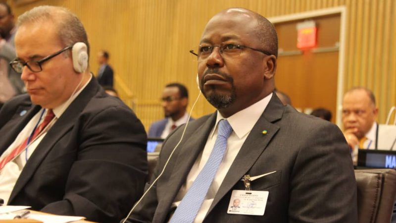 Alain-Claude Bilie-By-Nze et Lee White au Sommet Action Climat!