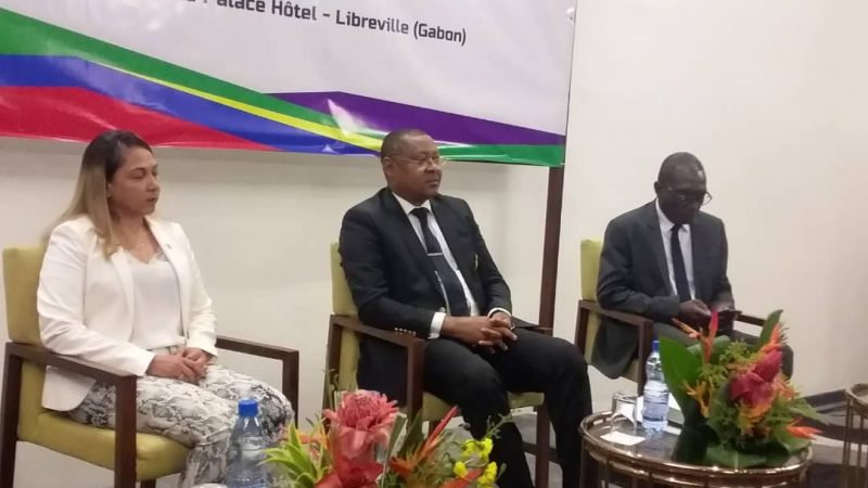 Naissance du réseau des acteurs francophones pour la coopération sud-sud et tripartie (RAFSUD)!