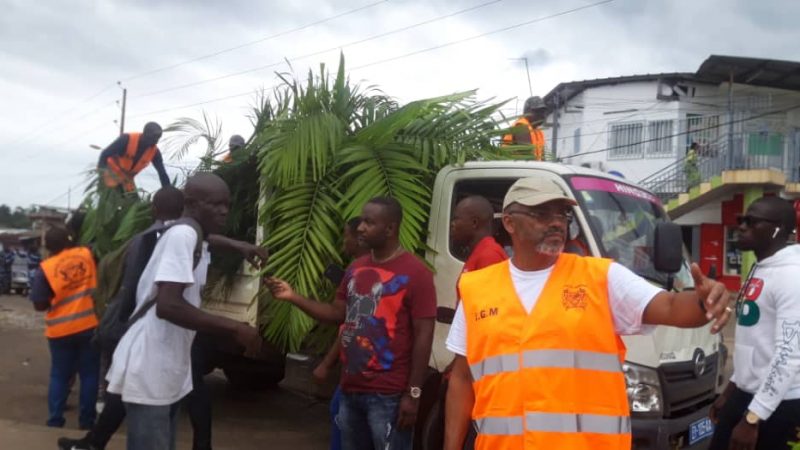 Plus de 35 arbres plantés par la mairie de Libreville au carrefour charbonnage!
