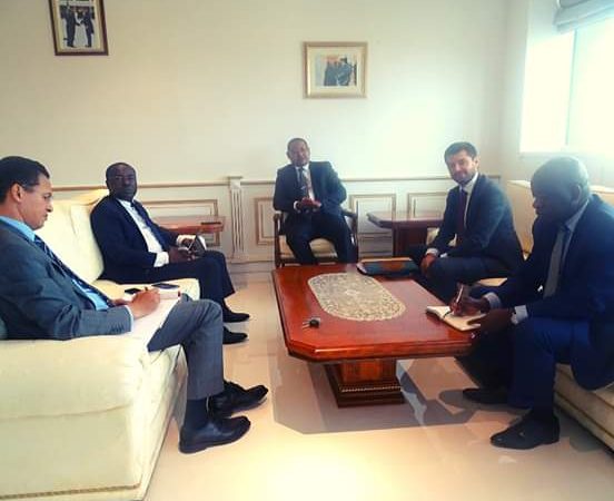 Gabon/FMI: l&rsquo;arbre porte ses fruits!