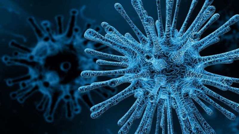 Virus wuhan : le Gouvernement  rassure la population de ce que toutes les mesures sont prises pour faire face à toutes éventualités