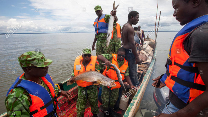 Gabon : ça chauffe chez les écogardes !