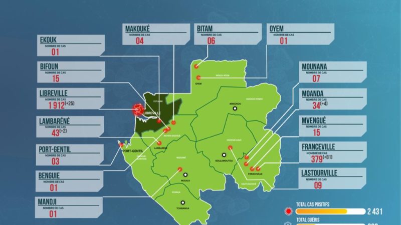 Traitement Covid-19 :  » l’association Lopinavir/Ritonavir telle qu’indiquée dans le protocole thérapeutique national pourrait être une alternative à l’hydroxychloroquine en cas de nécessité  » .