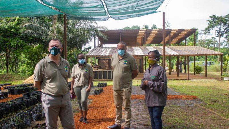 Journée mondiale de l&rsquo;environnement : le ministre Lee White, à la pépinière de l&rsquo;Arboretum Raponda Walker