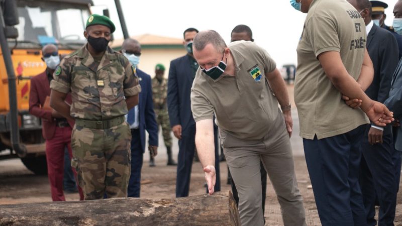 Lee White en visite à la brigade des eaux et forêts de Ntoum !