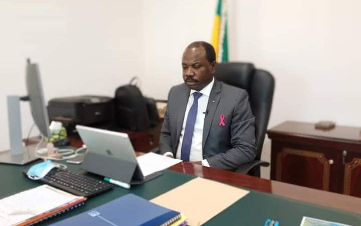 C&rsquo;est parti pour la Foire Virtuelle Internationale du Gabon !