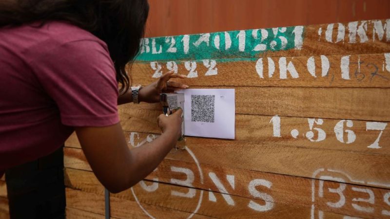 Lancement de la phase pilote des modules du système de traçabilité des produits bois !