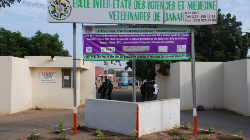 EISMV/ Arriérés de scolarité : les étudiants gabonais frôlent le pire