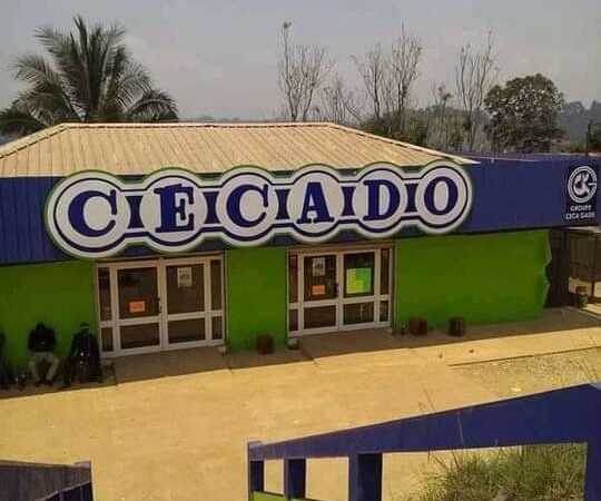 Ngounié/Ogoulou: La société CECA-GADIS ferme les portes du CKDO de Mimongo