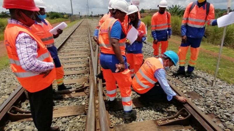 Gabon: Setrag et ANPN en partenariat pour la lutte contre les heurts d’éléphants