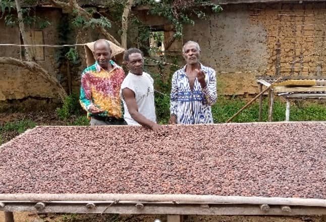 Olam Gabon au secours des petits agriculteurs et des coopératives dans le Woleu-Ntem