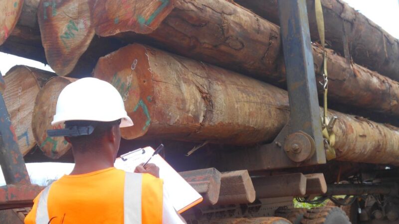 La reconnaissance du système Tracer par l’Union européenne : une nouvelle ère pour l’accès des bois transformés de la Zone économique de Nkok