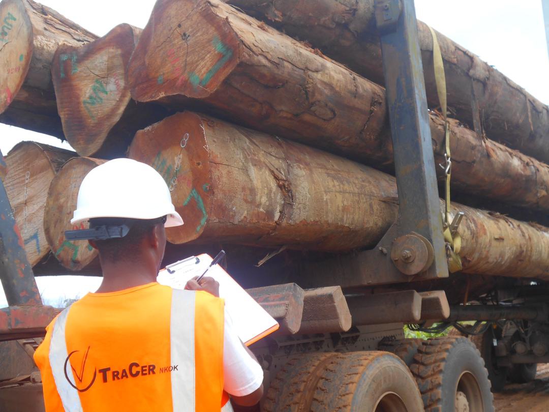 La reconnaissance du système Tracer par l’Union européenne : une nouvelle ère pour l’accès des bois transformés de la Zone économique de Nkok