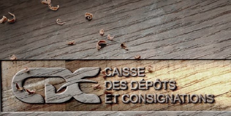 Le Gabon organise la 6ème édition de la Conférence internationale du Forum des Caisses de Dépôt