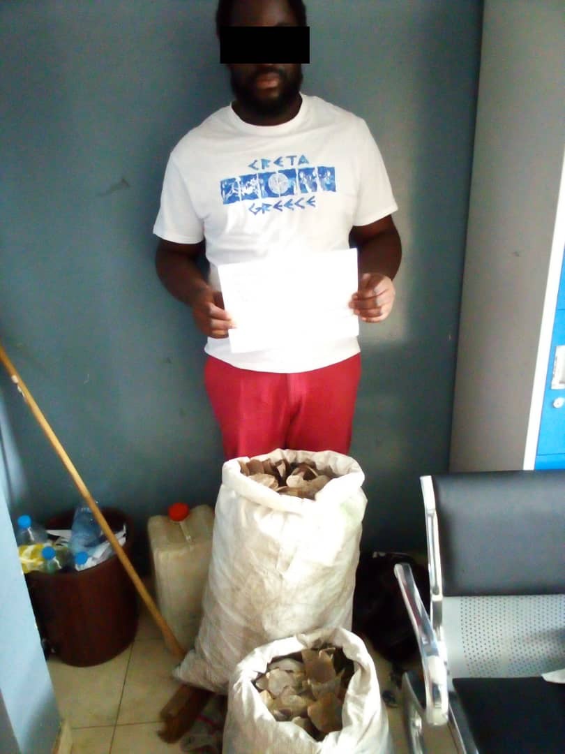 Interpellation d&rsquo;un individu en possession de 2 sacs de 46kg d&rsquo;écailles de pangolin à Libreville !