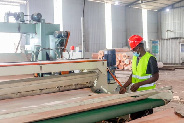 Nkok accueille une Nouvelle usine de contreplaqué « African Elephant »