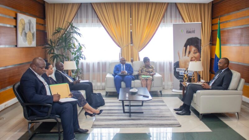 Audience : le Ministre de la santé confirme la tenue des travaux du congrès de la SOGACHIR à Franceville