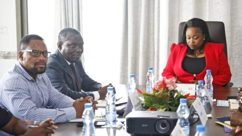 La Conasysed reçue par la tutelle