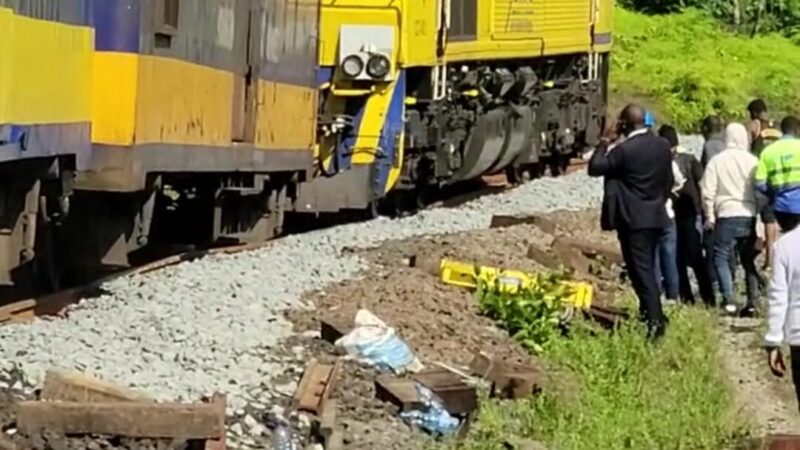 Incidents de trains du dimanche 02 avril 2023:  le trafic  momentanément suspendu