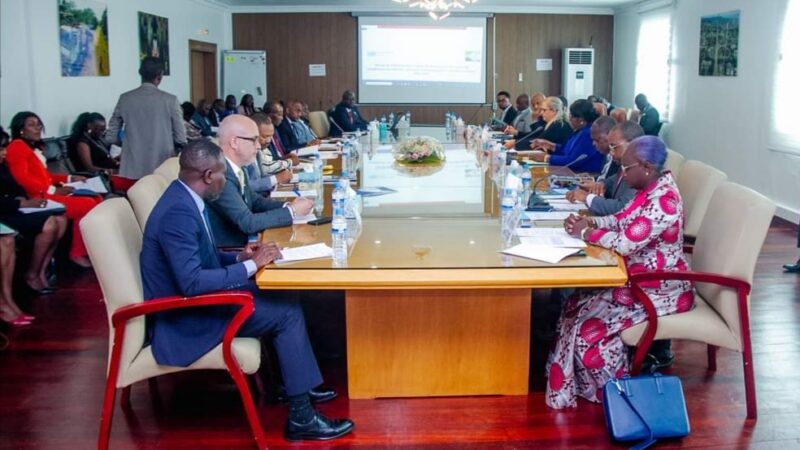 Gabon / Nations Unies : réunion du comité technique pour le développement durable 2023-2027