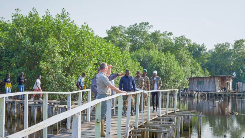 Mangroves : les eaux et forêts et Arise se lient pour leur protection et leur restauration