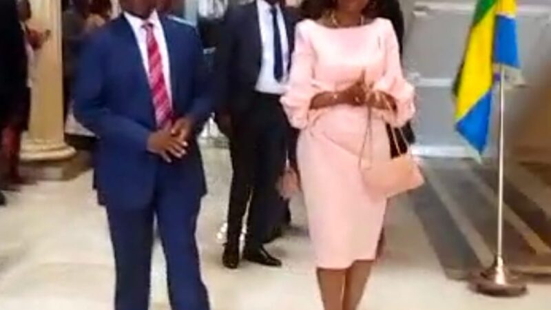 Cour Constitutionnelle : Tête haute, Marie-Madeleine passe le témoin à Dieudonné Aba&rsquo;a Owono