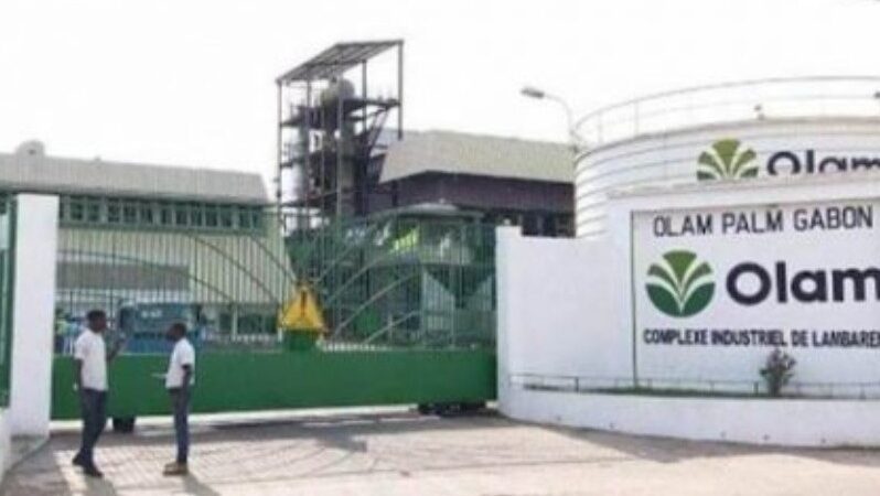Olam Palm Gabon : les activités ont repris sur l&rsquo;ensemble des sites