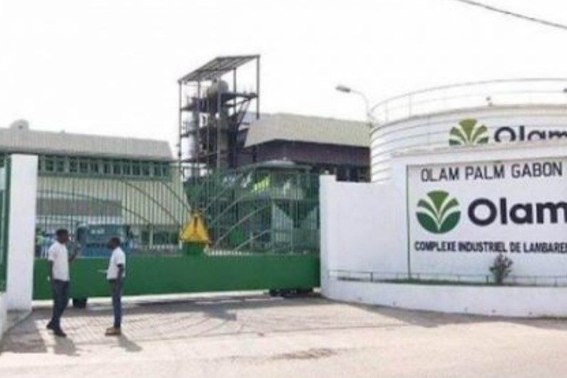 Olam Palm Gabon : les activités ont repris sur l&rsquo;ensemble des sites