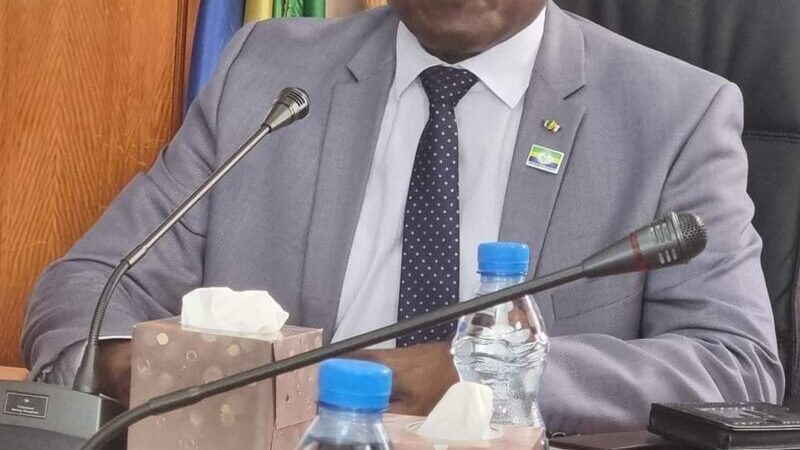 L&rsquo;Ambassadeur de Turquie au Gabon chez le ministre du pétrole