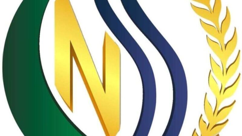 La CNSS annonce le paiement des Indemnités Journalières de Maternité