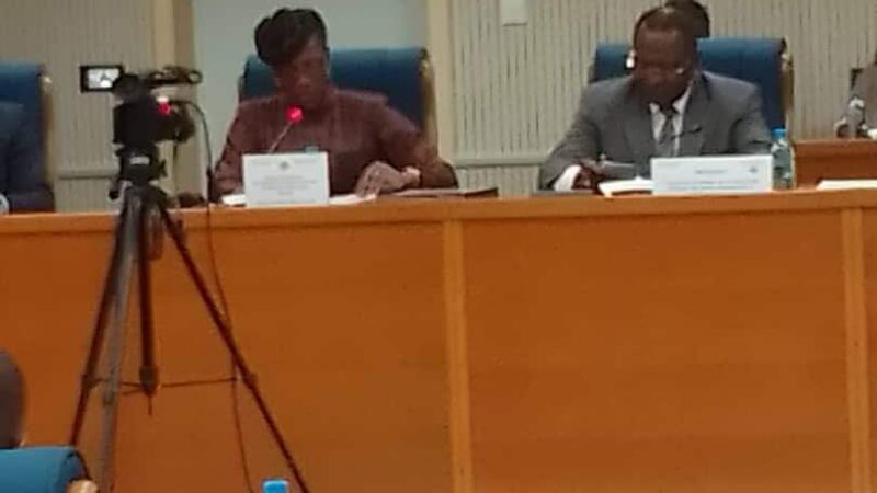 Le Gabon va renforcer la réglementation des activités commerciales sur son territoire