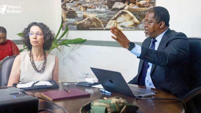 Séance de travail entre le Secrétaire Exécutif de l&rsquo;ANPN, Omer Ntougou Ndoutoume et Lisa Korte, responsable de l&rsquo;U.S Fish & Wildlife Service
