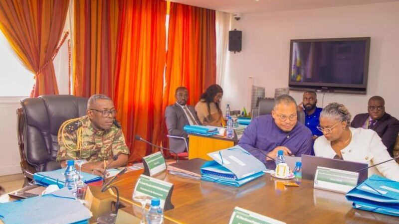 Retour à l&rsquo;Orthodoxie de Gestion : Nouvelle Ère à la CNSS