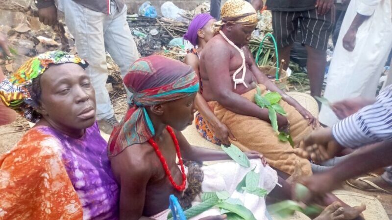 Rite de Circoncision chez les Kota : Un Voyage au Cœur des Traditions Gabonaises