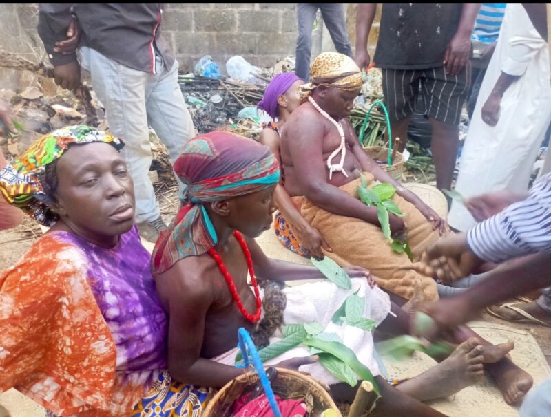 Rite de Circoncision chez les Kota : Un Voyage au Cœur des Traditions Gabonaises