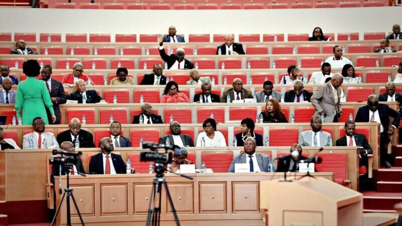 L&rsquo;Assemblée Constituante : Une plénière déterminante pour la nouvelle constitution