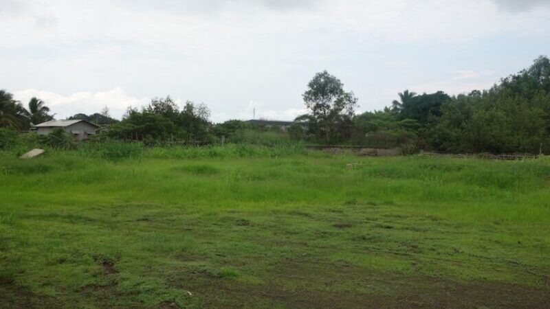 La Cour Constitutionnelle Confirme l&rsquo;Interdiction de Vente de Terrains aux Non Nationaux au Gabon