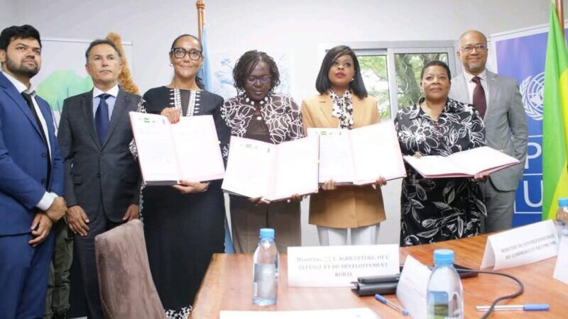 Gabon : le pari du manioc pour redonner vie à l’économie rurale