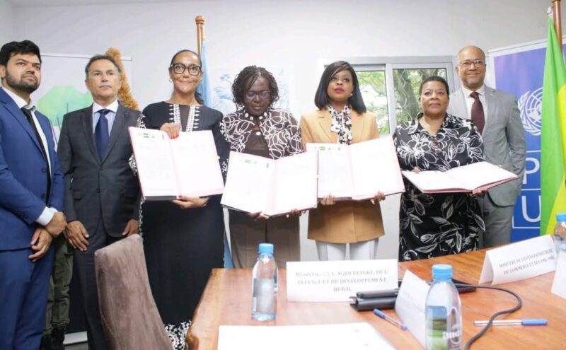 Gabon : le pari du manioc pour redonner vie à l’économie rurale