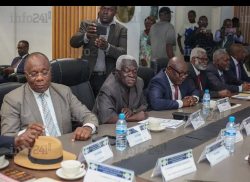 Réforme politique au Gabon : vers une nouvelle ère pour les partis