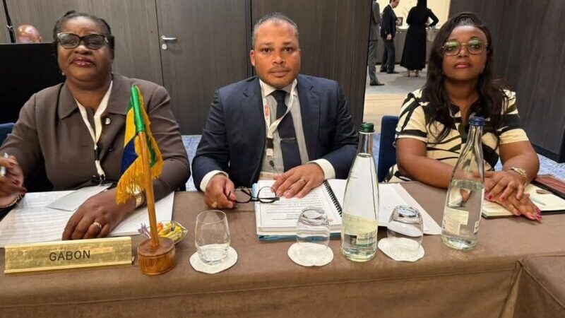 Genève : La CNSS du Gabon, une voix qui porte à la 38e session ministérielle de la CIPRES