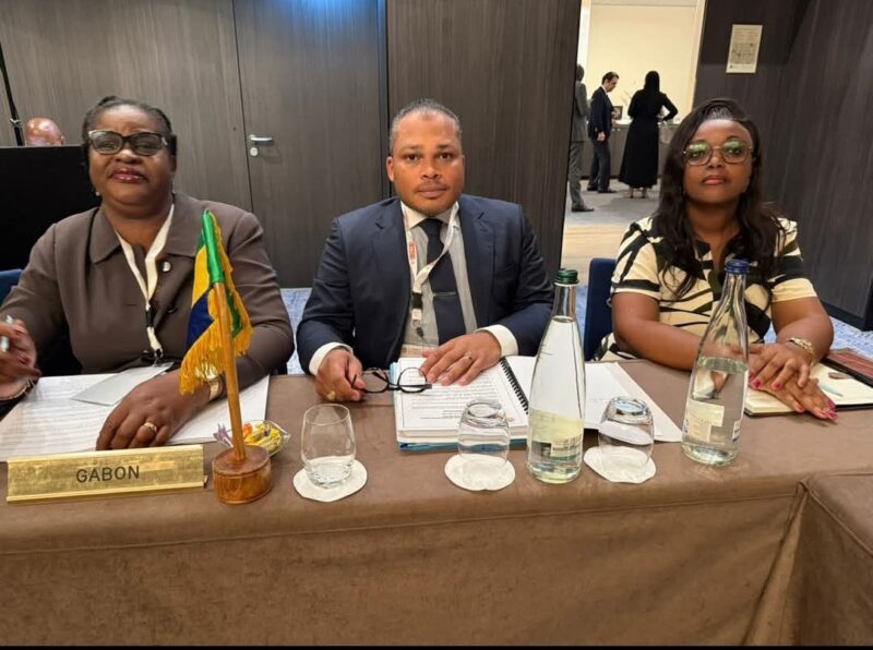 Genève : La CNSS du Gabon, une voix qui porte à la 38e session ministérielle de la CIPRES