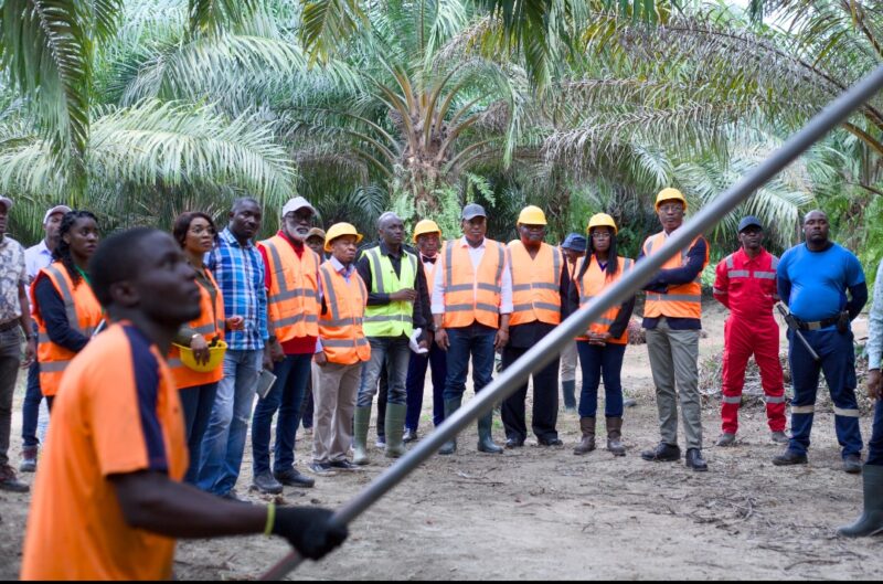 Le Ministre du Travail constate le Début des Stages chez Olam Palm Gabon : Un Engagement pour l’Emploi des Jeunes