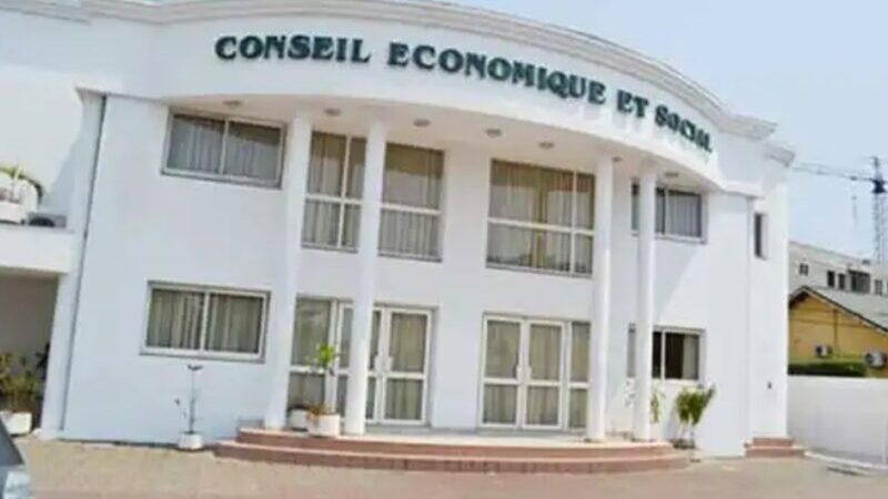 Élections CESEC : une séance d’information pour les candidats ouvre le calendrier officiel