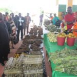 Promotion de l’agriculture locale : Olam met en lumière les femmes rurales de la Ngounié