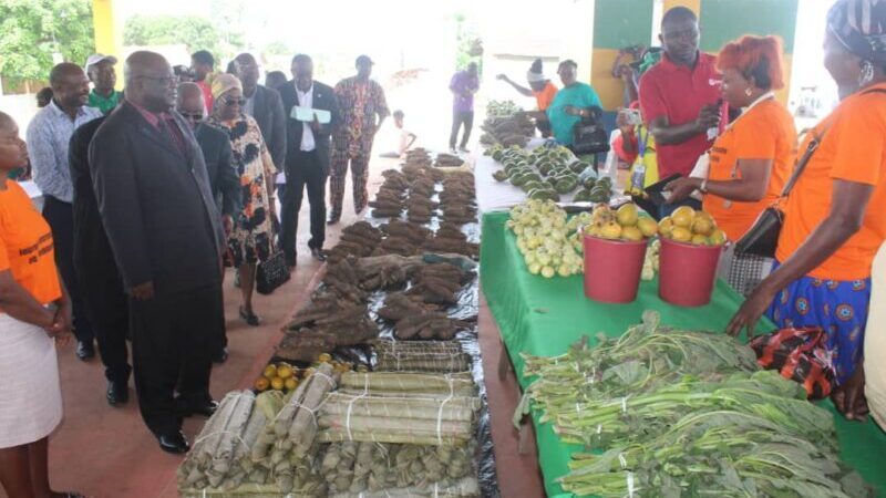 Promotion de l’agriculture locale : Olam met en lumière les femmes rurales de la Ngounié