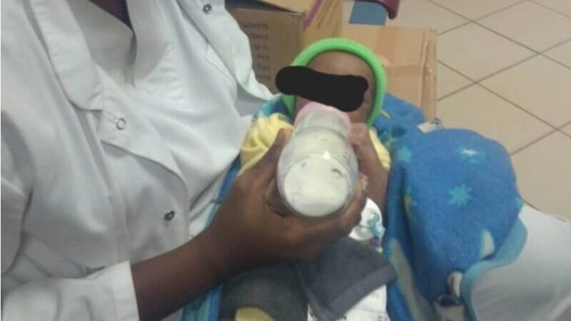 PK 13 – Forêt Ayo : quand la vie refuse de s’éteindre