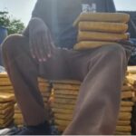 Libreville : traque et saisie d’un réseau de Skunk SK